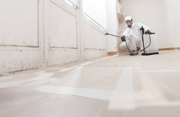 24/7 Emergency Mold Inspection experts in Central Lake, MI